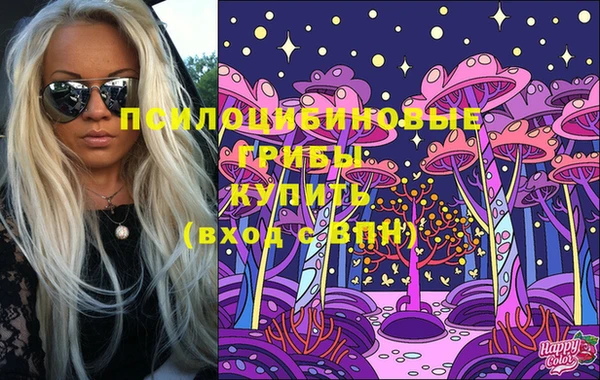 прущие грибы Алексин
