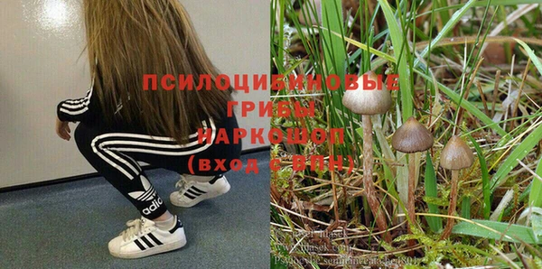 прущие грибы Алексин