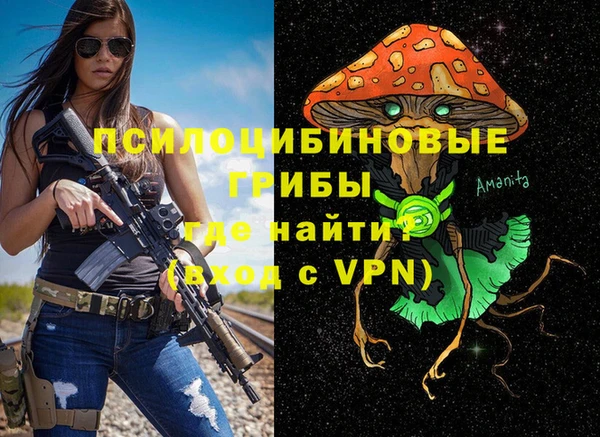 apvp Алексеевка